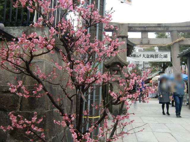 CIMG0945-1.jpg