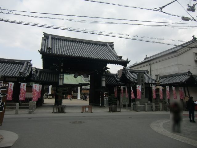 CIMG0951-1.jpg